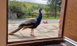 2 Bed in Brecon 3