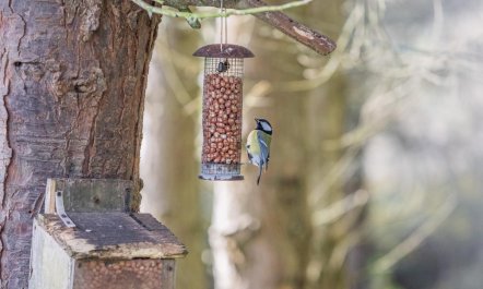 2 Bed in Dunkineely 1