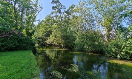 1 Bed in Barton Stacey 1