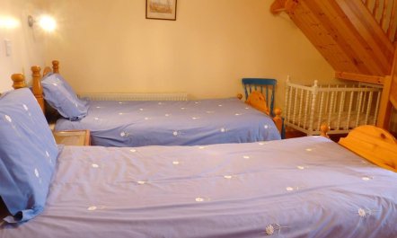 3 Bed in Enniscorthy 4