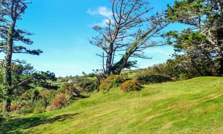 3 Bed in Kilcrohane 8