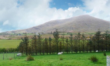 2 Bed in Westport Quay 8