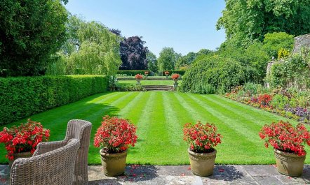 The English Flower 4