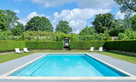 The English Flower 2