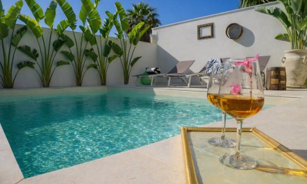 The Palm Villa 4