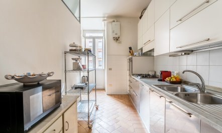 The Culture of Rome 6