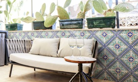 Prickly Pear Terrace 1