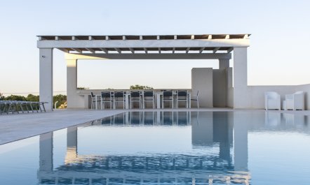 The Olive Place