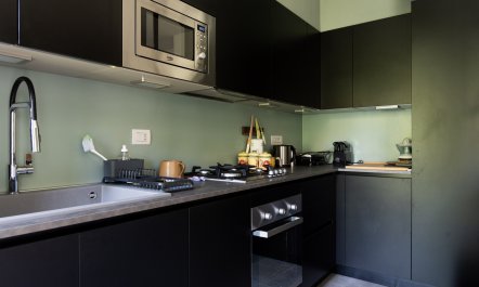 Views Over the Tree Tops 7