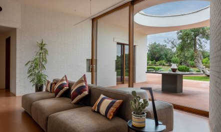 Puglia Grove 6