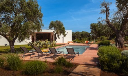 Puglia Grove 2