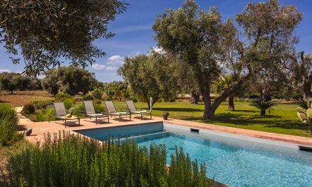 Puglia Grove 3