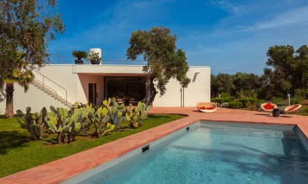Puglia Grove