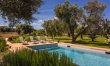Puglia Grove 3