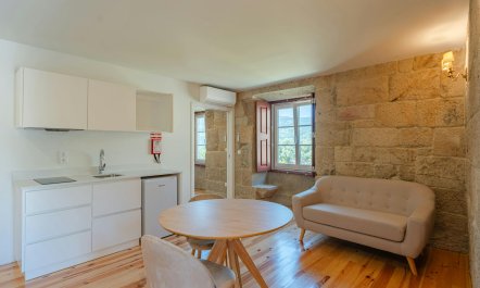 Vines of the Douro 8