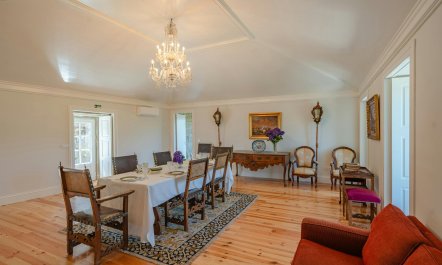 Vines of the Douro 3