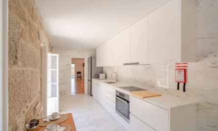 Vines of the Douro 4