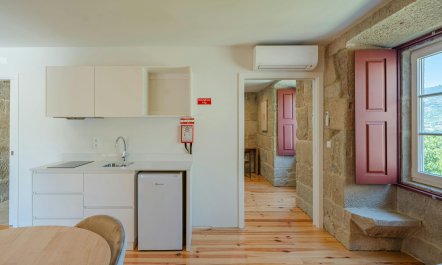 Vines of the Douro 9