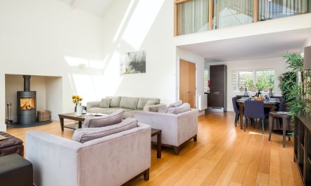 Butterflies in the Blue 3