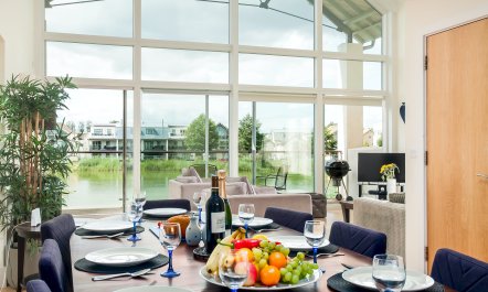 Butterflies in the Blue 6