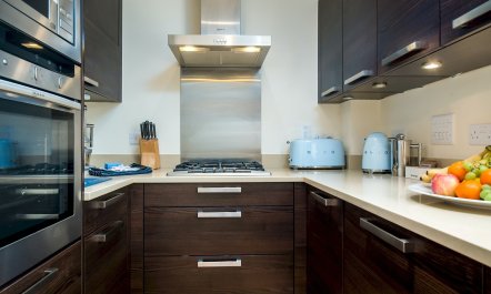 Butterflies in the Blue 8