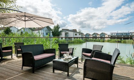 Butterflies in the Blue 1