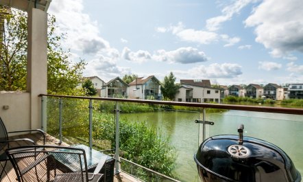 Butterflies in the Blue 4