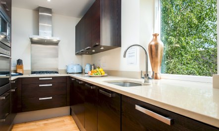 Butterflies in the Blue 9