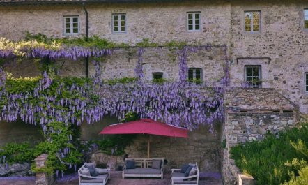 Wisteria & Wine