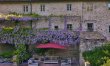 Wisteria & Wine 0