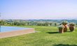 Sunflower Hill 5
