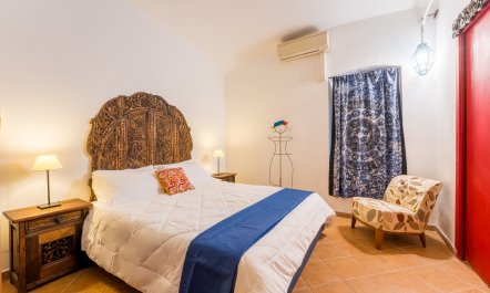 Charms of the Colosseo 1