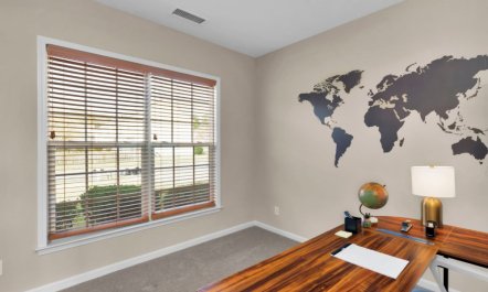 Queen of the South 8