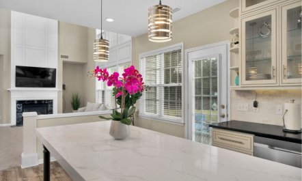 Queen of the South 6