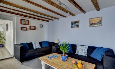 3 Bed in Appledore 4