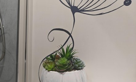 7 Bed in Duncannon 4