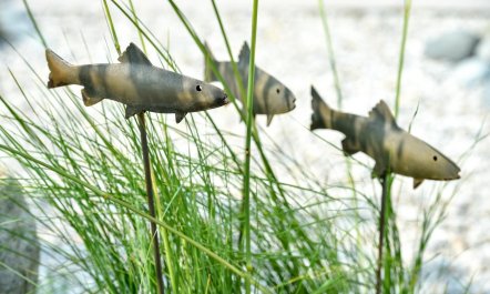 7 Bed in Duncannon 8