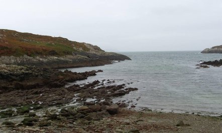 1 Bed in Kilcrohane 8