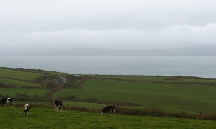 1 Bed in Kilcrohane 7