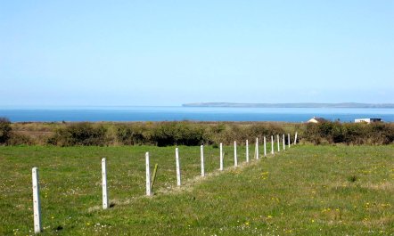 3 Bed in Ballyduff 7