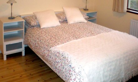 3 Bed in Castleblaney 4