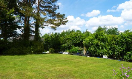 3 Bed in Castlebar 8