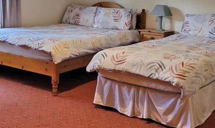 5 Bed in Mountcharles 9