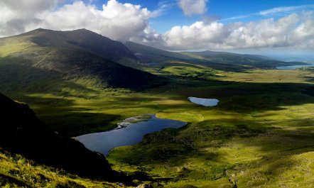 2 Bed in Castleisland 9