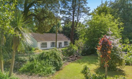 3 Bed in Clogheen 0