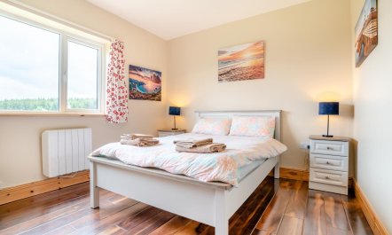 3 Bed in Waterford 8