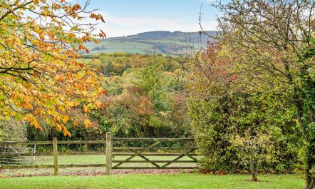 2 Bed in Taunton 2