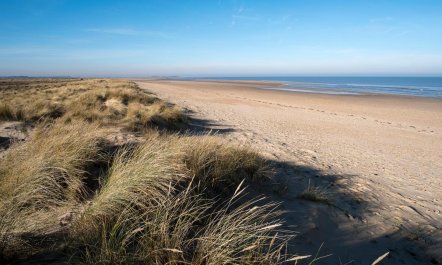 5 Bed in Clenchwarton 3