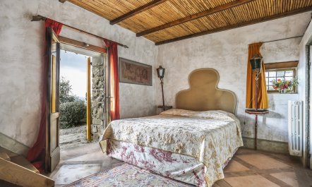 Tuscan Olives & Cypresses 9