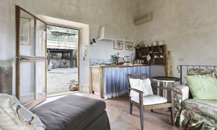 Tuscan Olives & Cypresses 5